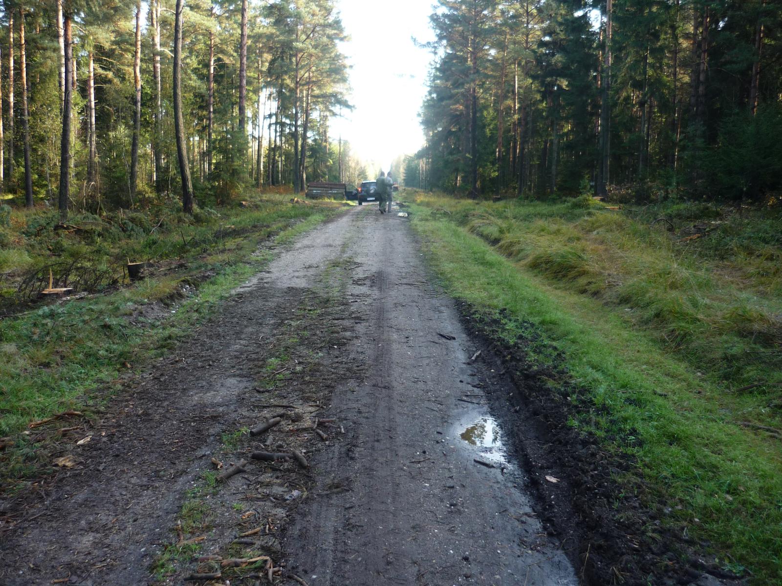 Droga leśna nr 46 przed modernizacją (Fot. Wiesław Urbański)